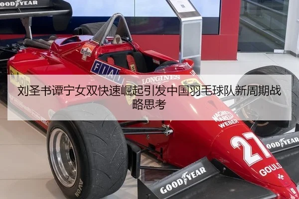 liu-sheng-shu-tan-ning-nv-shuang-kuai-su-jue-qi-yin-fa-zhong-guo-yu-mao-qiu-dui-xin-zhou-qi-zhan-lve-si-kao-2-255.jpg